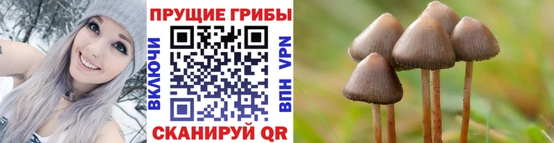 Галлюциногенные грибы MAGIC MUSHROOMS  Купить закладки  Ноябрьск 